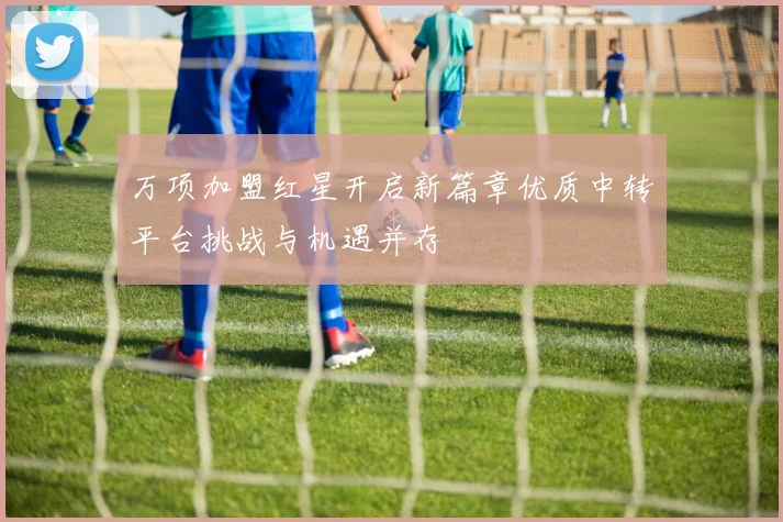 万项加盟红星开启新篇章优质中转平台挑战与机遇并存