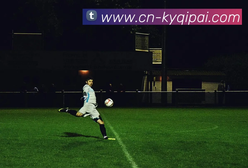 多媒体互动体验