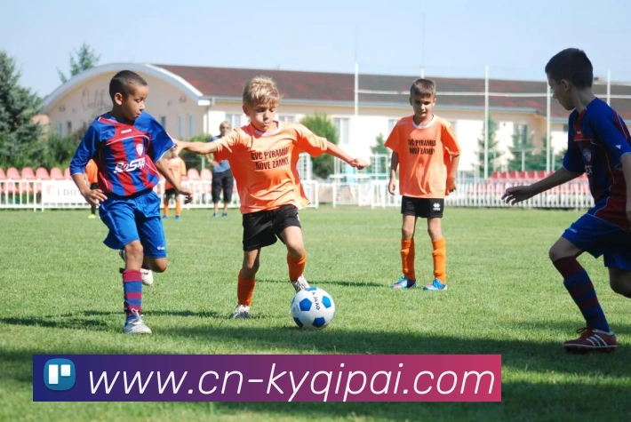 开云体育APP 高清赛事图